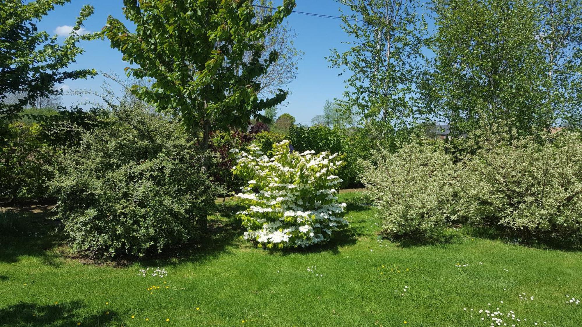 Gite D'Anne Et Ulysse Sept-Freres Luaran gambar